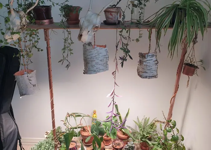 Top Floor Spacious Real Home In Heart Of Kallio *