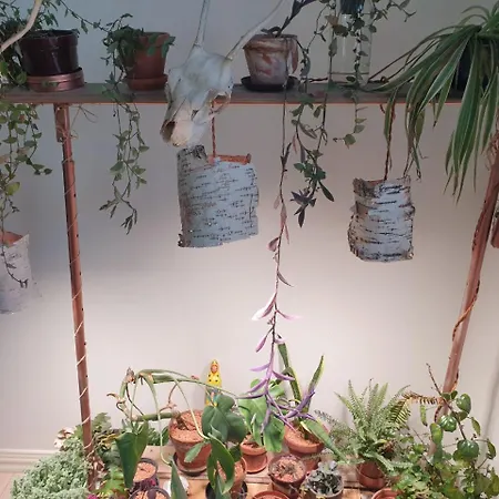 Top Floor Spacious Real Home In Heart Of Kallio *